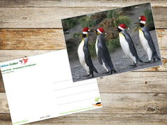 10 x  PINGUINE Weihnachtskarten