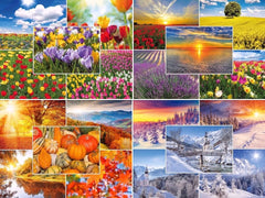 Edition Colibri FOUR SEASONS: Set of 100 postcards nature/landscapes (20 motifs of 5 each) in spring, summer, autumn and winter